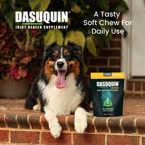 Nutramax Dasuquin with MSM Hip & Joint Soft Chews Joint Supplement for Large Dogs, 150 count
