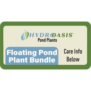 HydrOasis Floating Live Pond Plant Bundle