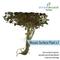 Show in main carousel: HydrOasis Floating Live Pond Plant Bundle slide 2 of 7