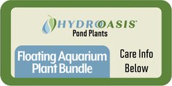 HydrOasis Floating Live Aquarium Plant Bundle slide 2 of 5