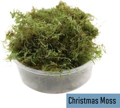 HydrOasis Live Aquarium Moss Starter Bundle slide 2 of 5