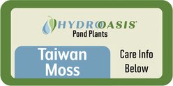 HydrOasis Taiwan Moss Live Aquarium Plant Portion slide 2 of 4