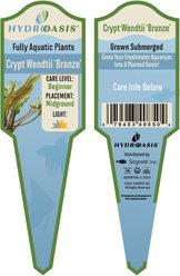 HydrOasis Crypt Wendtii Bronze Submerged Potted Live Aquarium Plant, 3 count slide 2 of 4