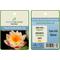 Show in main carousel: HydrOasis Hardy Water Lily Live Pond Plant, Peach slide 5 of 5