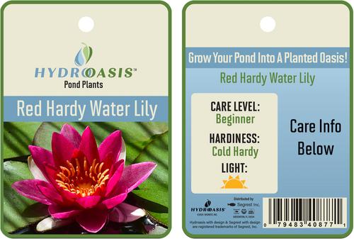 Show full view: HydrOasis Hardy Water Lily Live Pond Plant, Red slide 5 of 5