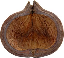 HydrOasis Thelambu Pod Fish Plant slide 2 of 4