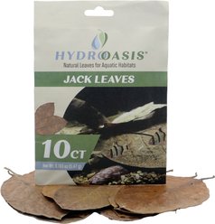 HydrOasis Jack Leaves Fish Plant, 10 count