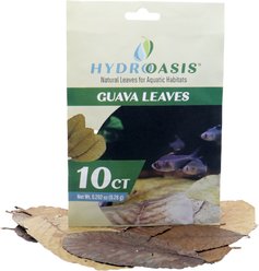 HydrOasis Guava Leaves Fish Plant, 10 count