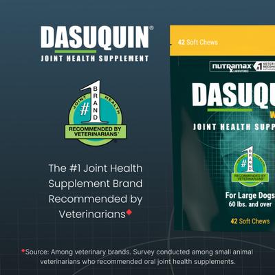 Show full view: Nutramax Dasuquin with MSM Hip & Joint Soft Chews Joint Supplement for Large Dogs, 42 count slide 4 of 12