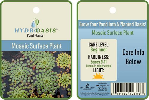 Show full view: HydrOasis Mosaic Surface Live Pond Plant, 3 count slide 4 of 4