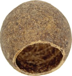 HydrOasis Wood Apple Pod Fish Plant, 3 count slide 2 of 5