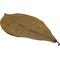 Show in main carousel: HydrOasis Catappa Leaves Fish Plant, 3 count slide 3 of 9