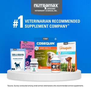 Nutramax Cosequin Joint Health Supplement with Glucosamine, Chondroitin & MSM Chewable Tablets for Dogs, 250 count