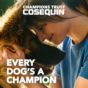 Nutramax Cosequin Joint Health Supplement with Glucosamine, Chondroitin & MSM Chewable Tablets for Dogs, 250 count