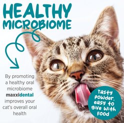 maxxipaws maxxidental Advanced Oral Support Dental & Gum Care Powder Supplement for Cats, 3.2-oz jar slide 2 of 9