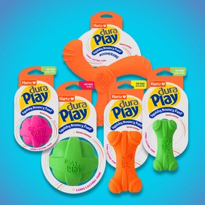 Hartz Dura Play Boomerang Bacon Scented Squeaky Latex Dog Toy, Color Varies, 1 count