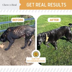 Chew + Heal Omega Skin + Coat Dog Supplement, 1-pack, 180 count slide 2 of 9