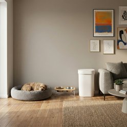 NineStars Rectangular Automatic Touchless Infrared Motion Sensor Trash Can Dog Waste Disposal System, White, 13-gal slide 2 of 7