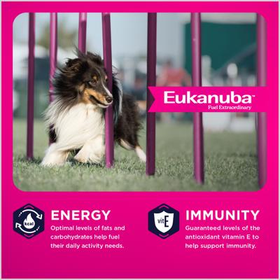Show full view: Eukanuba Adult Medium Breed Dry Dog Food, 15-lb bag slide 4 of 11