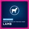 Show in main carousel: Eukanuba Adult Large Breed Lamb 1st Ingredient Dry Dog Food, 33-lb bag slide 5 of 11