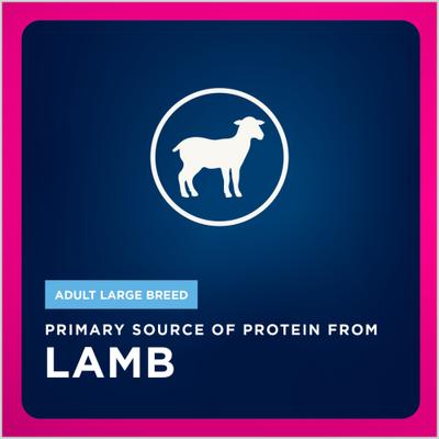 Show full view: Eukanuba Adult Large Breed Lamb 1st Ingredient Dry Dog Food, 33-lb bag slide 5 of 11