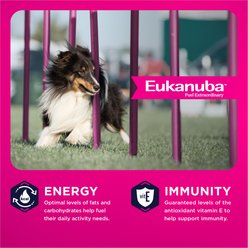 Eukanuba Adult LP Small & Medium Breed Dry Dog Food, 33-lb bag slide 2 of 9