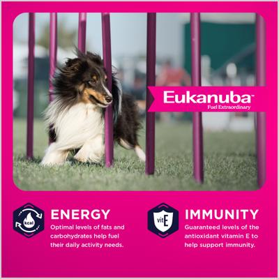 Show full view: Eukanuba Adult LP Small & Medium Breed Dry Dog Food, 33-lb bag slide 4 of 11