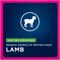 Show in main carousel: Eukanuba Adult LP Small & Medium Breed Dry Dog Food, 33-lb bag slide 5 of 11