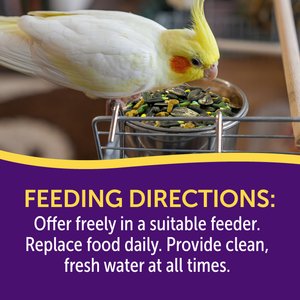 3-D Cockatiel Food, 4.5-lb jar