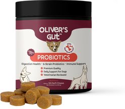 Oliver's Gut Probiotics Chews Digestive Aid for Dogs, 120 count slide 1 of 9