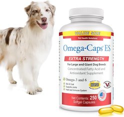 Omega-Caps Extra Strength Skin Coat Joint Heart & Immune Health Softgel Capsules for Large Dogs, 250 count