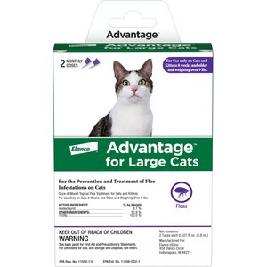 Advantage Topical Flea Prevention for Large Cats, 9 lbs+, 2-Monthly Treatments