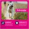 Show in main carousel: Eukanuba Adult Large Breed Lamb 1st Ingredient Dry Dog Food, 33-lb bag slide 4 of 11