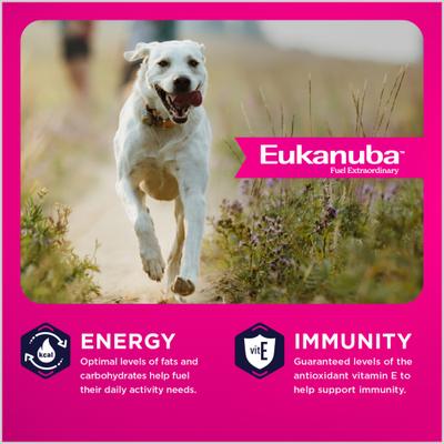 Show full view: Eukanuba Adult Large Breed Lamb 1st Ingredient Dry Dog Food, 33-lb bag slide 4 of 11