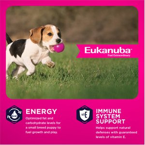 Eukanuba Puppy Small Breed Dry Dog Food, 4.5-lb bag
