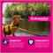 Show in main carousel: Eukanuba Adult Small Breed Dry Dog Food, 34-lb bag slide 4 of 11
