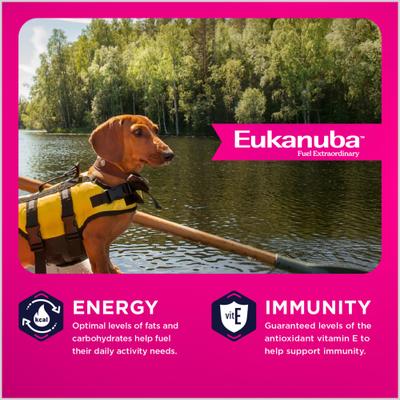 Show full view: Eukanuba Adult Small Breed Dry Dog Food, 34-lb bag slide 4 of 11