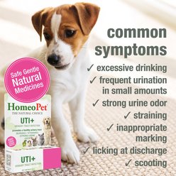 HomeoPet UTI+ Liquid Urinary Supplement for Dogs, 15-mL bottle slide 2 of 8