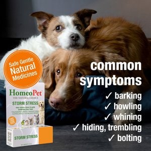 HomeoPet Storm Stress for Pets 20-80lbs, 450 drops
