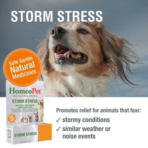HomeoPet Storm Stress for Pets 20-80lbs, 450 drops