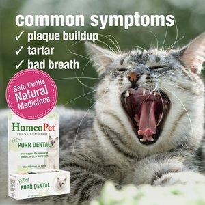 HomeoPet Feline Purr Dental Cat Supplement, 15mL bottle
