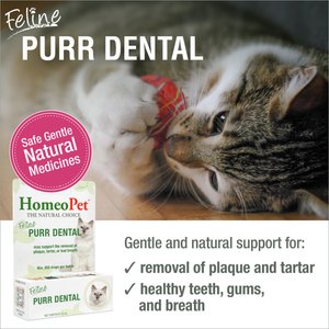 HomeoPet Feline Purr Dental Cat Supplement, 15mL bottle