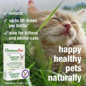HomeoPet Digestive Upsets Medication for Digestive Issues for Cats