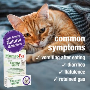 HomeoPet Digestive Upsets Medication for Digestive Issues for Cats