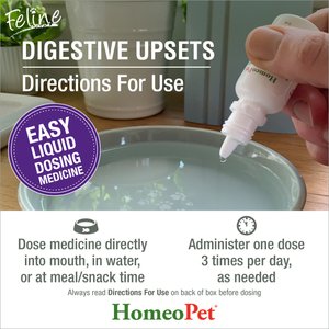 HomeoPet Digestive Upsets Medication for Digestive Issues for Cats
