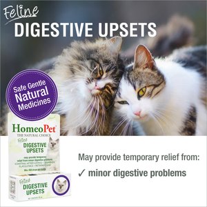 HomeoPet Digestive Upsets Medication for Digestive Issues for Cats