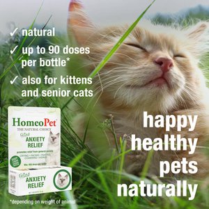 HomeoPet Feline Anxiety Relief Cat Supplement, 450 drops