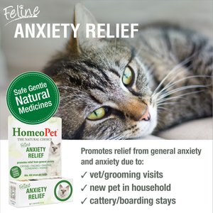 HomeoPet Feline Anxiety Relief Cat Supplement, 450 drops