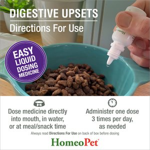 HomeoPet Digestive Upsets Homeopathic Medicine for Digestive Issues for Birds, Cats, Dogs & Small Pets, 450 drops