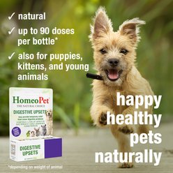 HomeoPet Digestive Upsets Homeopathic Medicine for Digestive Issues for Birds, Cats, Dogs & Small Pets, 450 drops slide 2 of 8
